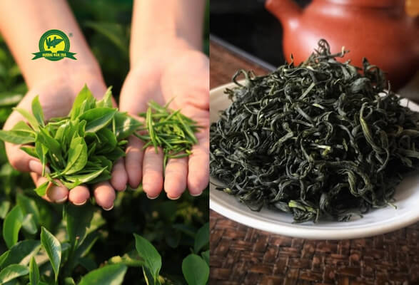 Dịch Vụ Vận Chuyển Chè Xanh Từ Thái Nguyên Đi Nga
