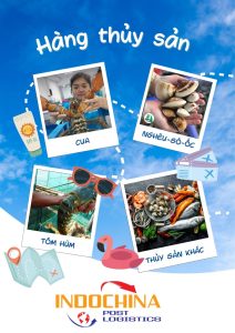 Gửi hải sản đi Mỹ nhanh, giá rẻ, không lo hư hỏng