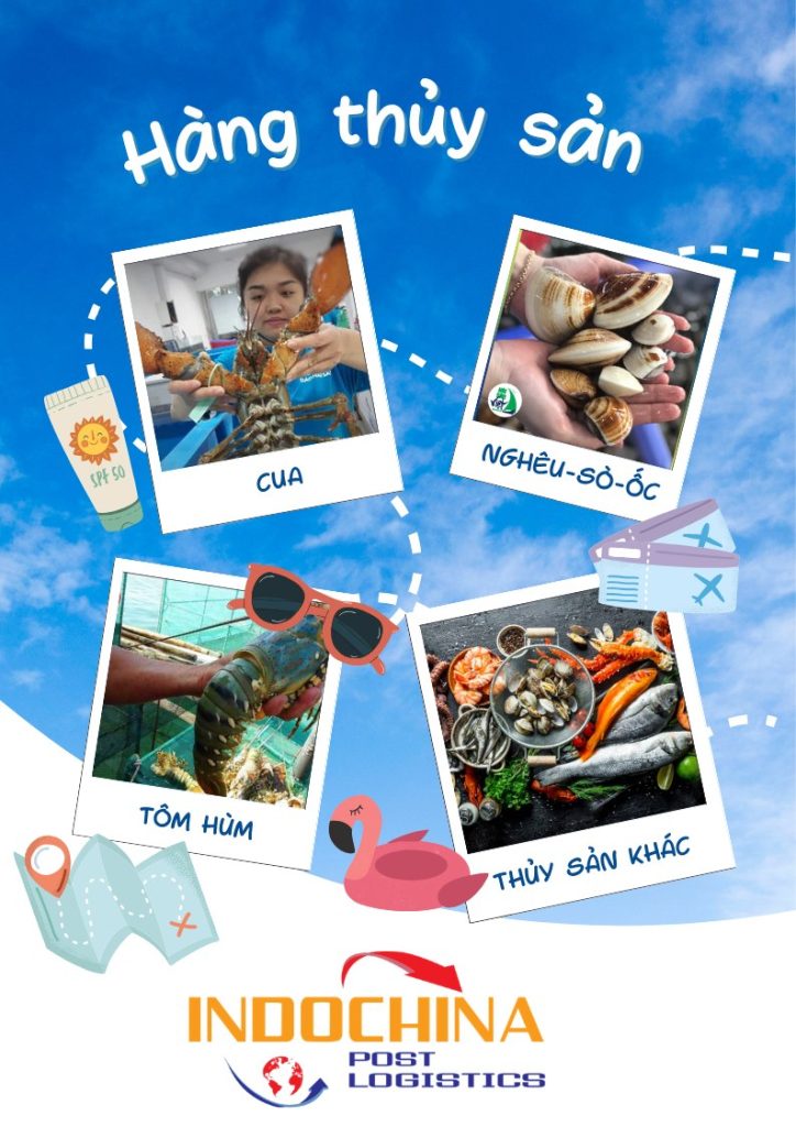 Gửi hải sản đi Mỹ nhanh, giá rẻ, không lo hư hỏng