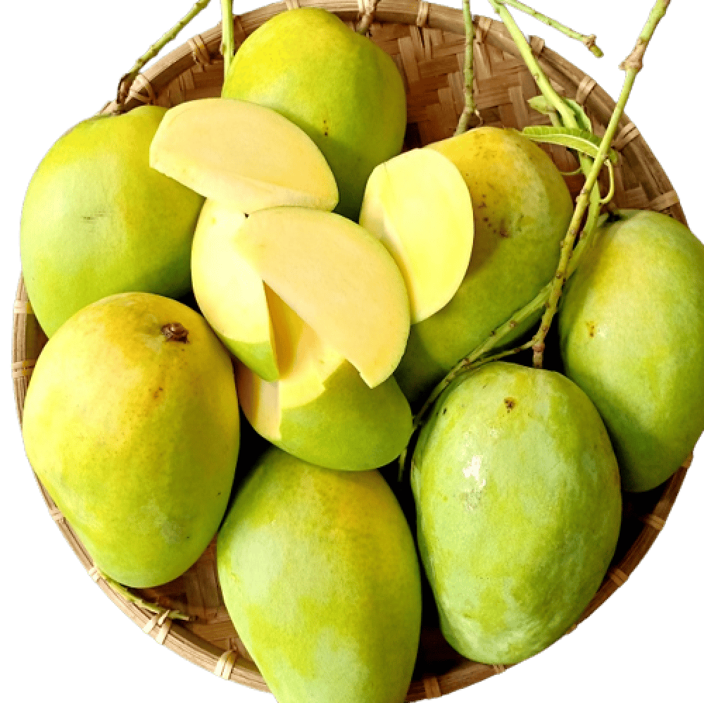 Xoài tứ quý