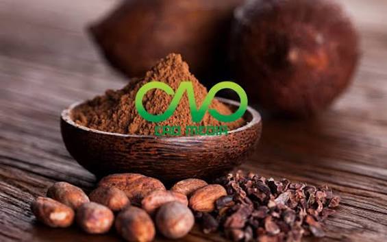 Xuất khẩu ca cao sang Mỹ