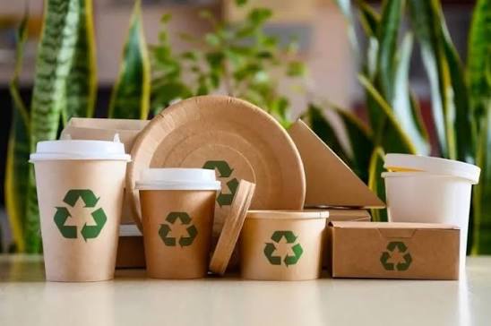 GỬI GIẤY VÀ BAO BÌ GIẤY SANG EU ĐÚNG CHUẨN QUY ĐỊNH XANH