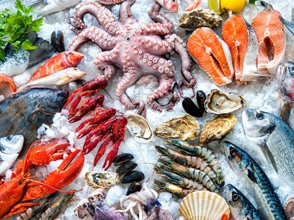XUẤT KHẨU THỦY SẢN ĐÔNG LẠNH SANG CHÂU ÂU ĐÚNG CHUẨN QUY ĐỊNH