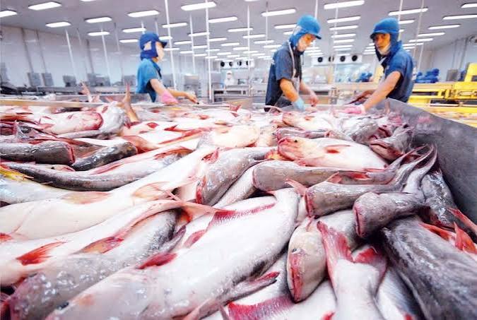 Đa dạng hóa loài nuôi: Đẩy mạnh xuất khẩu cá tôm và các loại nhuyễn thể.